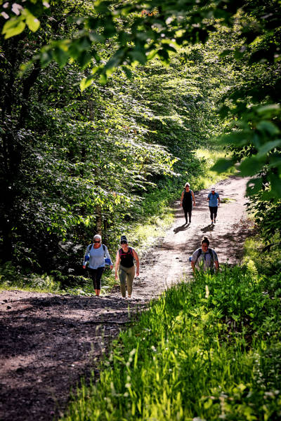 Sommet Saint Sauveur Randonnee Yoga Nature Amis Marche