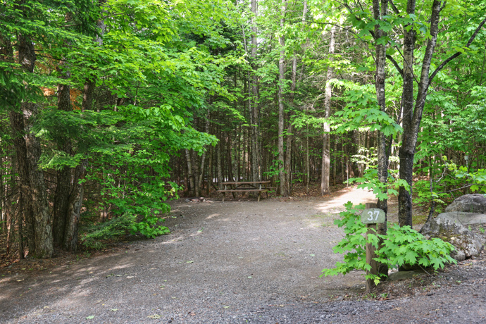 Site 37 - Grenouilles