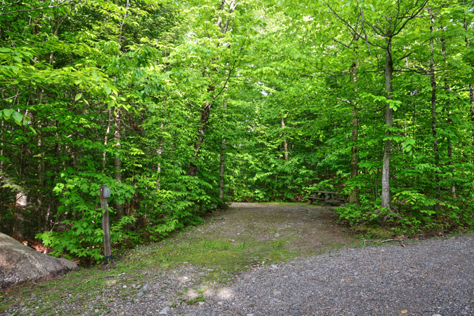 Site 87 - Renards