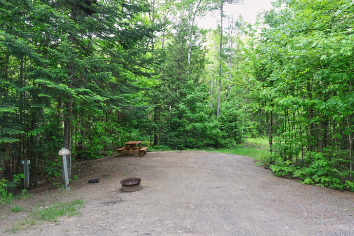 Site 40 - Grenouilles
