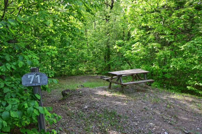 Site 71 - Écureuils