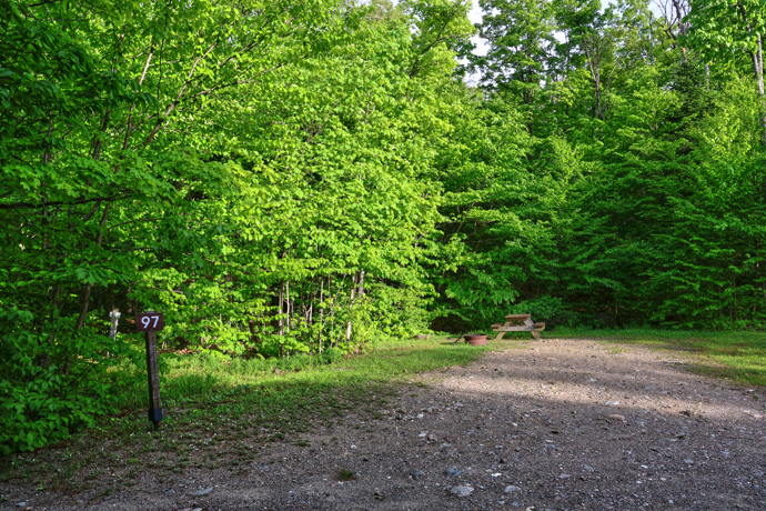 Site 97 - Lièvres