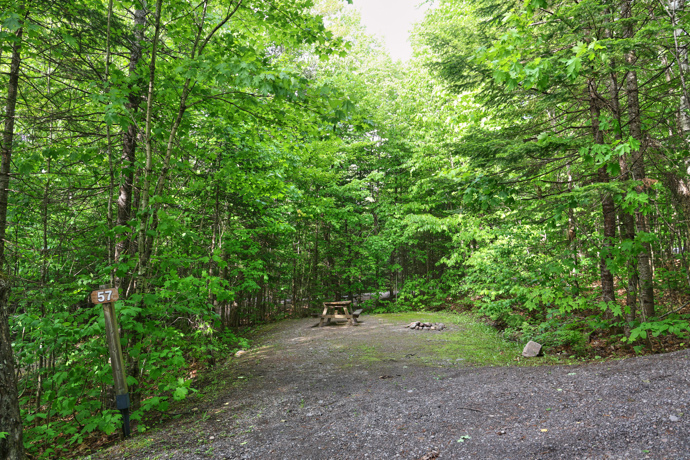 Site 57 - Chevreuils