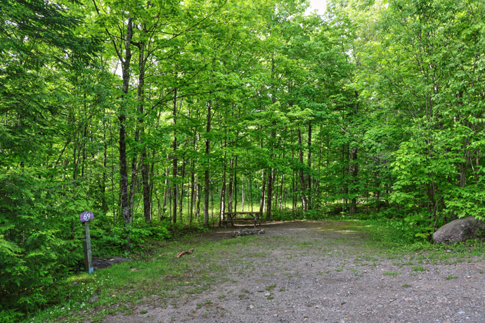 Site 69 - Écureuils
