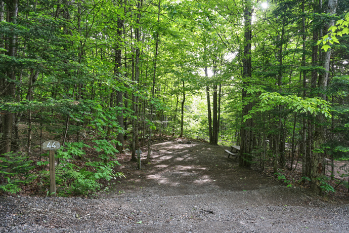 Site 44 - Grenouilles
