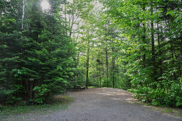 Site 21 - Marmottes