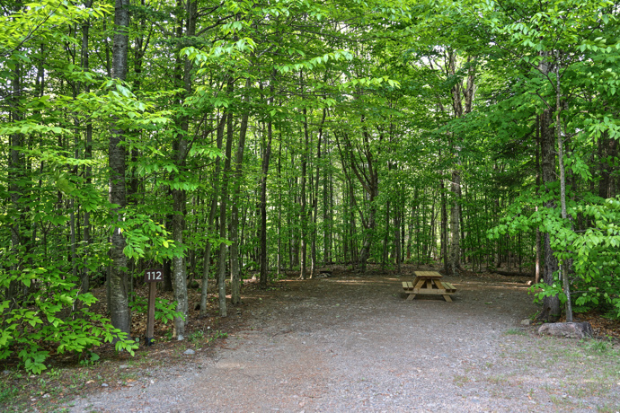 Site 112 - Ratons Laveurs