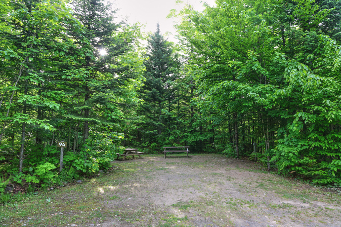 Site 94 - Lièvres