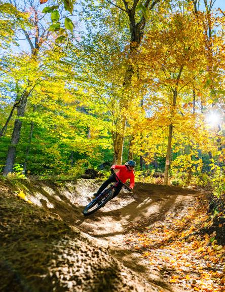 Abonnement automne