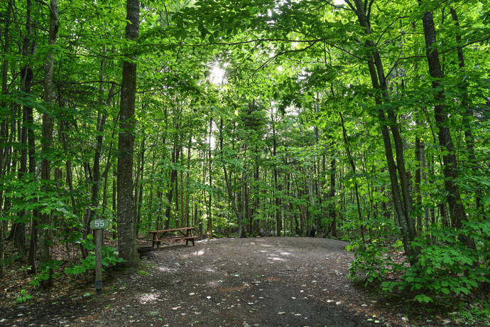 Site 55 - Loups