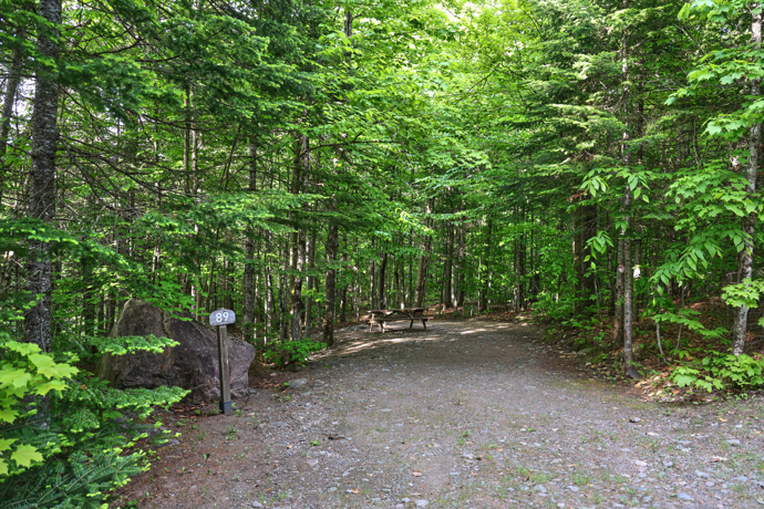 Site 89 - Renards